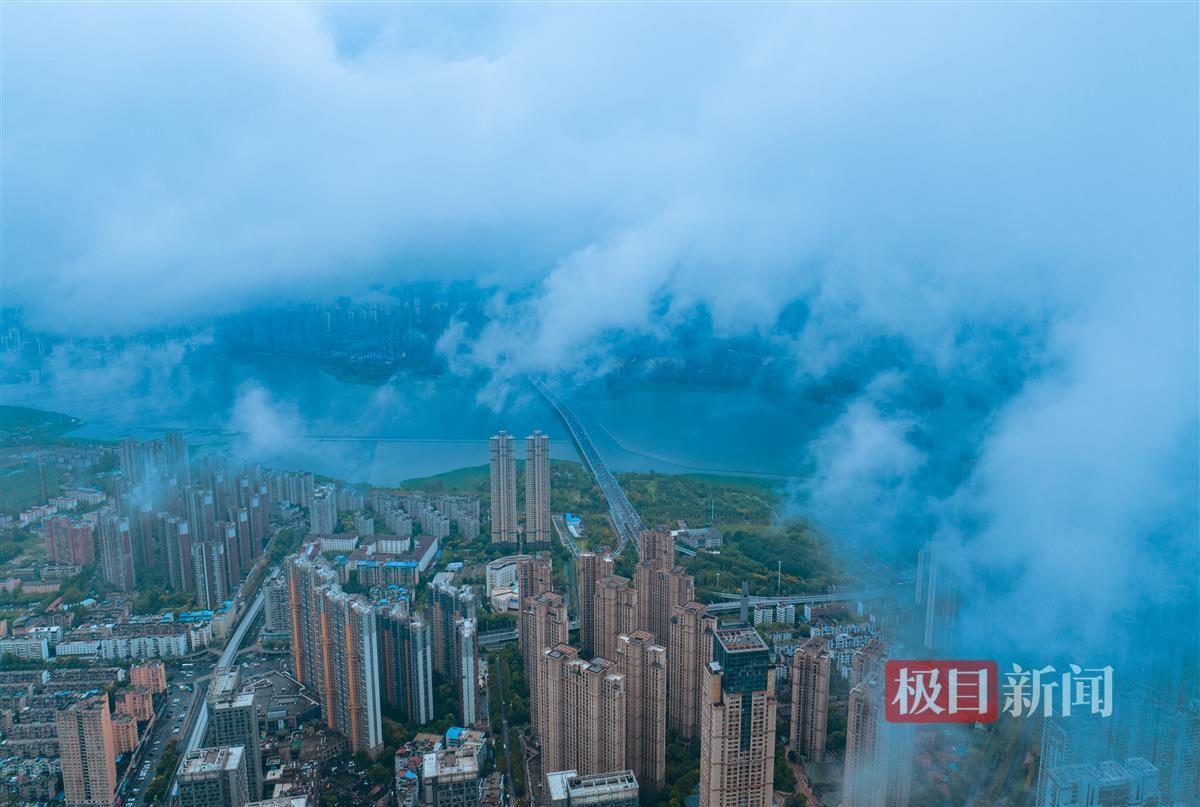 网上飞禽走兽数学打法